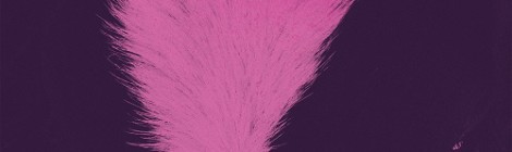 BORIS with MERZBOW - "Gensho" (2016)