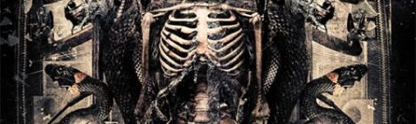 Once Human - "Evolution" (2017)