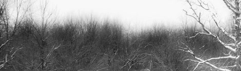 The Visit - "Through Darkness Into Light" (2015)