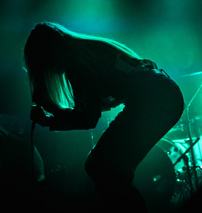 Silver Fang by Darkside Fairy