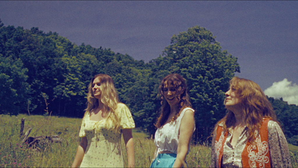 The Champagne Poneys. Photo by Ian McGuire
